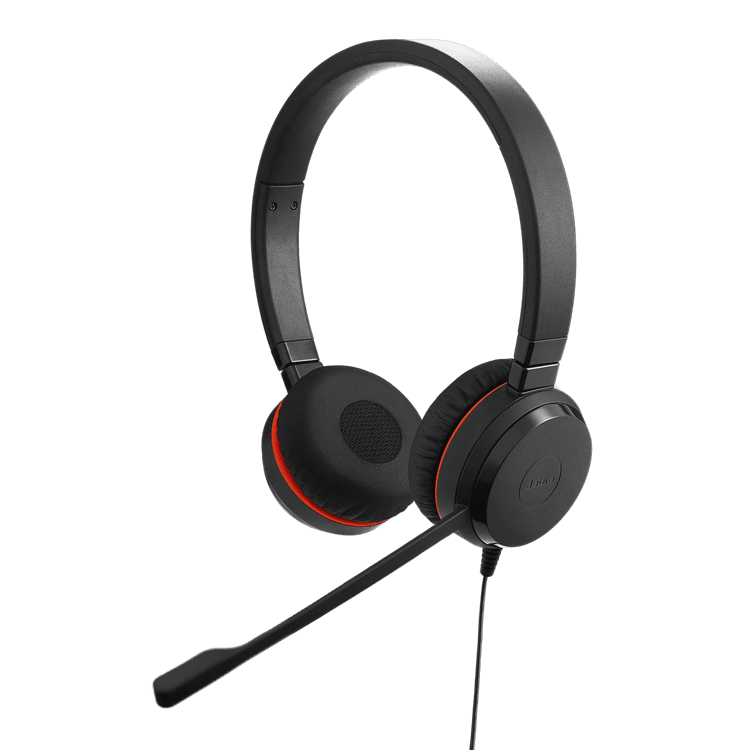 Jabra Evolve 20 Stereo / Mono Image