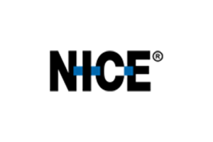 Nice Logo
