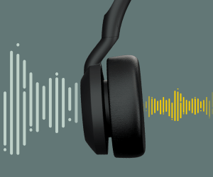 Professional Evolve2 Jabra headset 55 for all-rounder | working hybrid