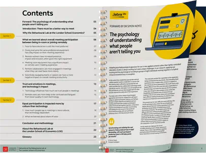 Example image of the Jabra LSE report